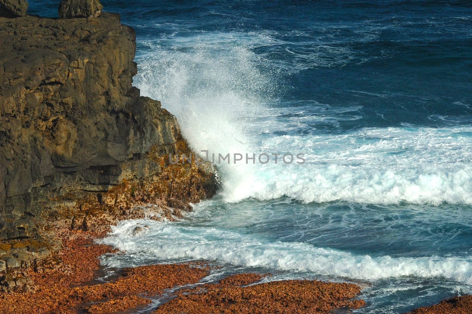 Surf wave