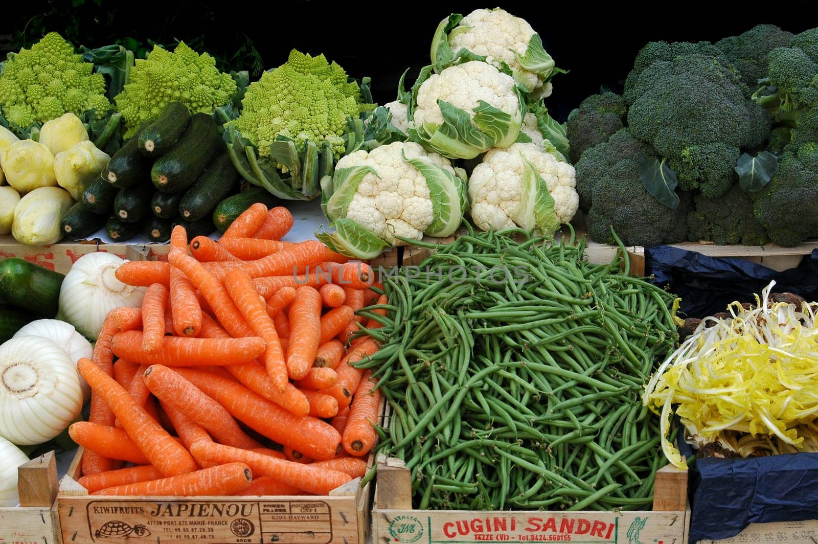 Vegetables 1