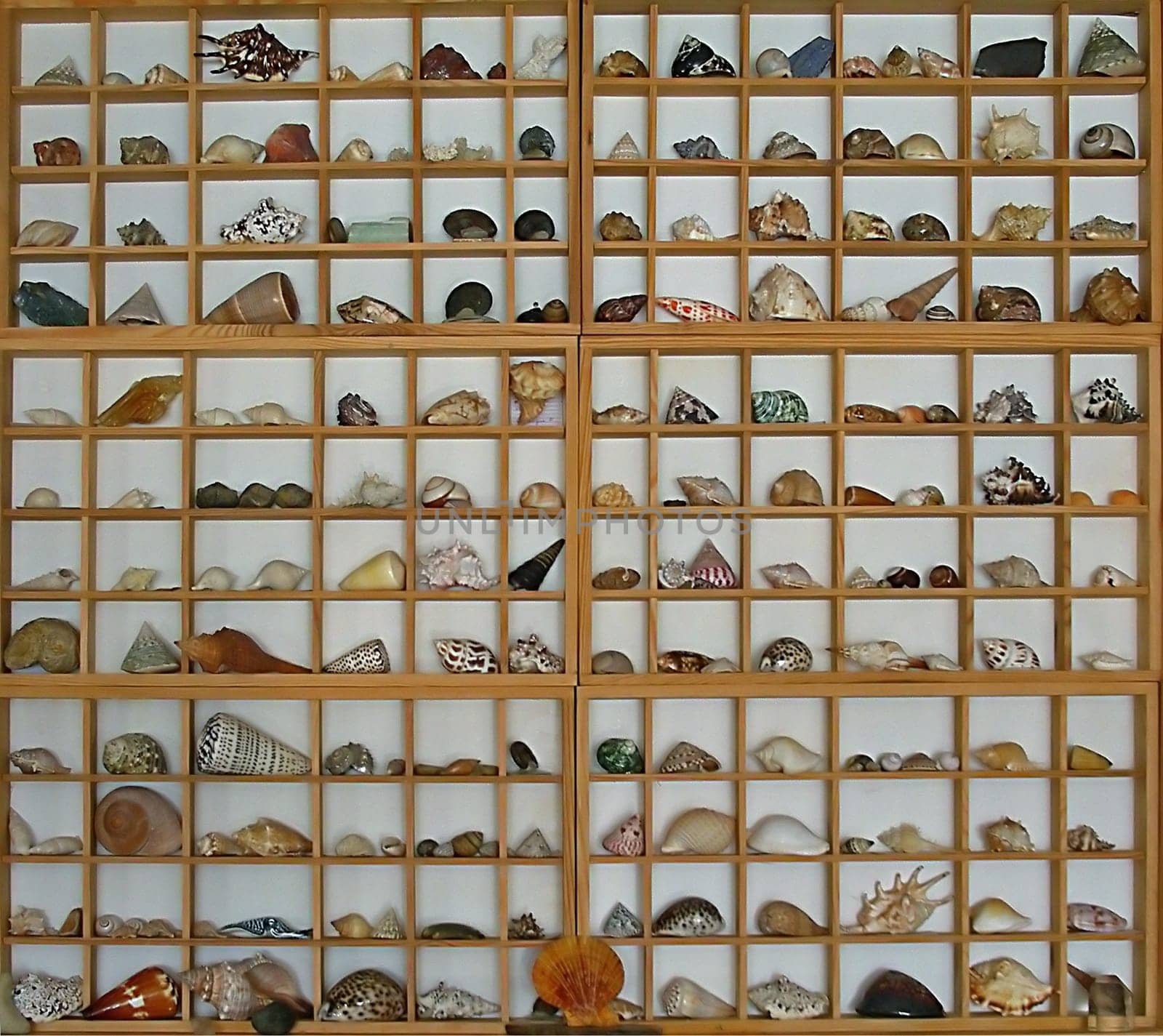 Collection