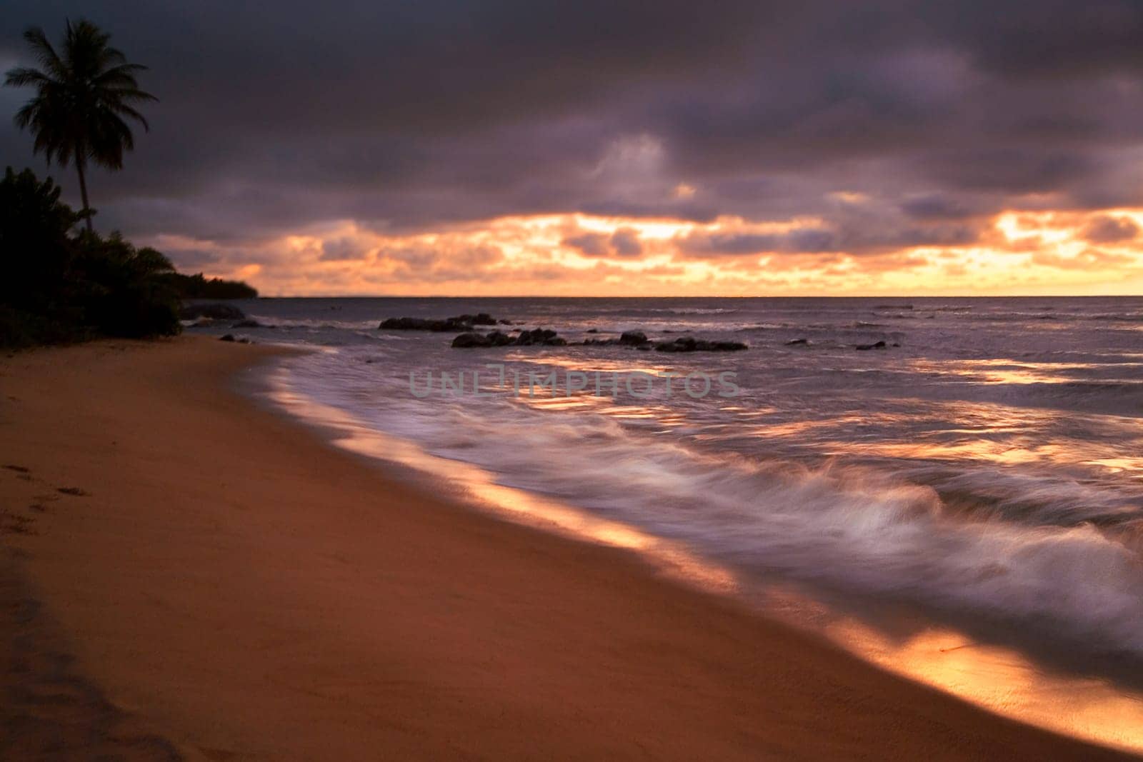 The Last Light