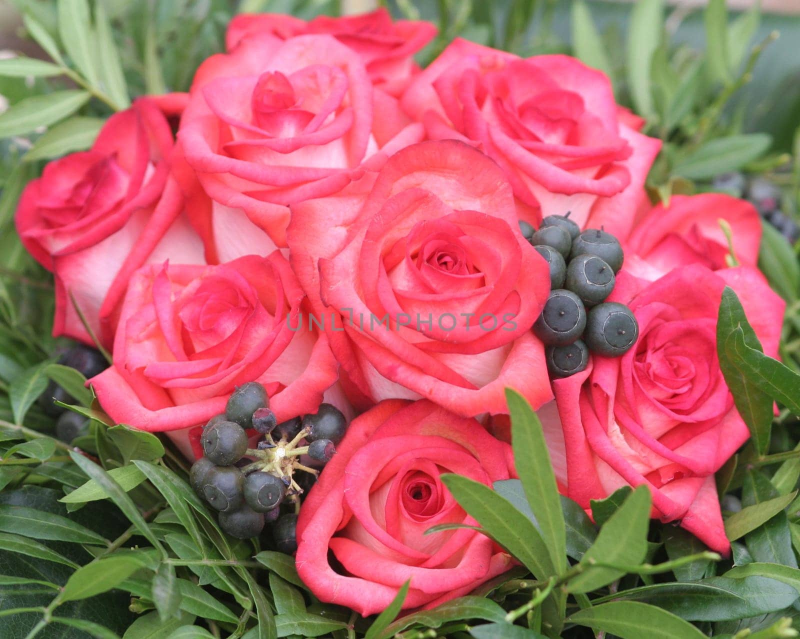 A small bouquet of roses....