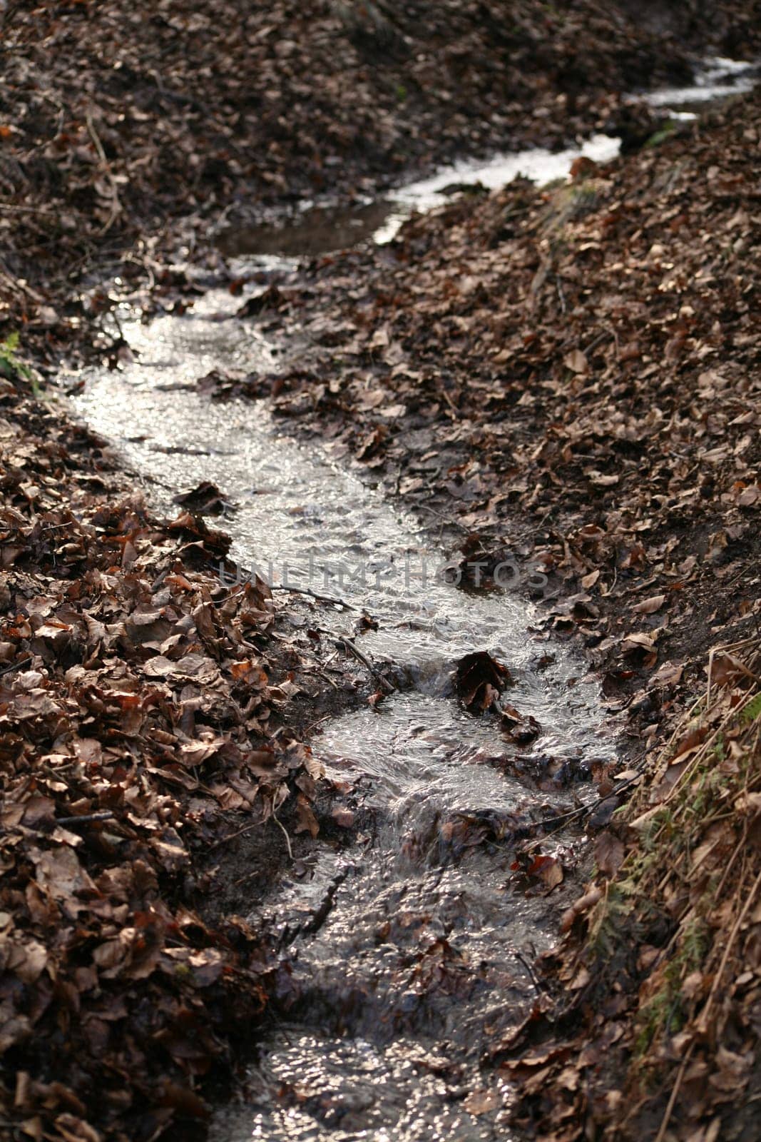 Idyllic,natural watercourse