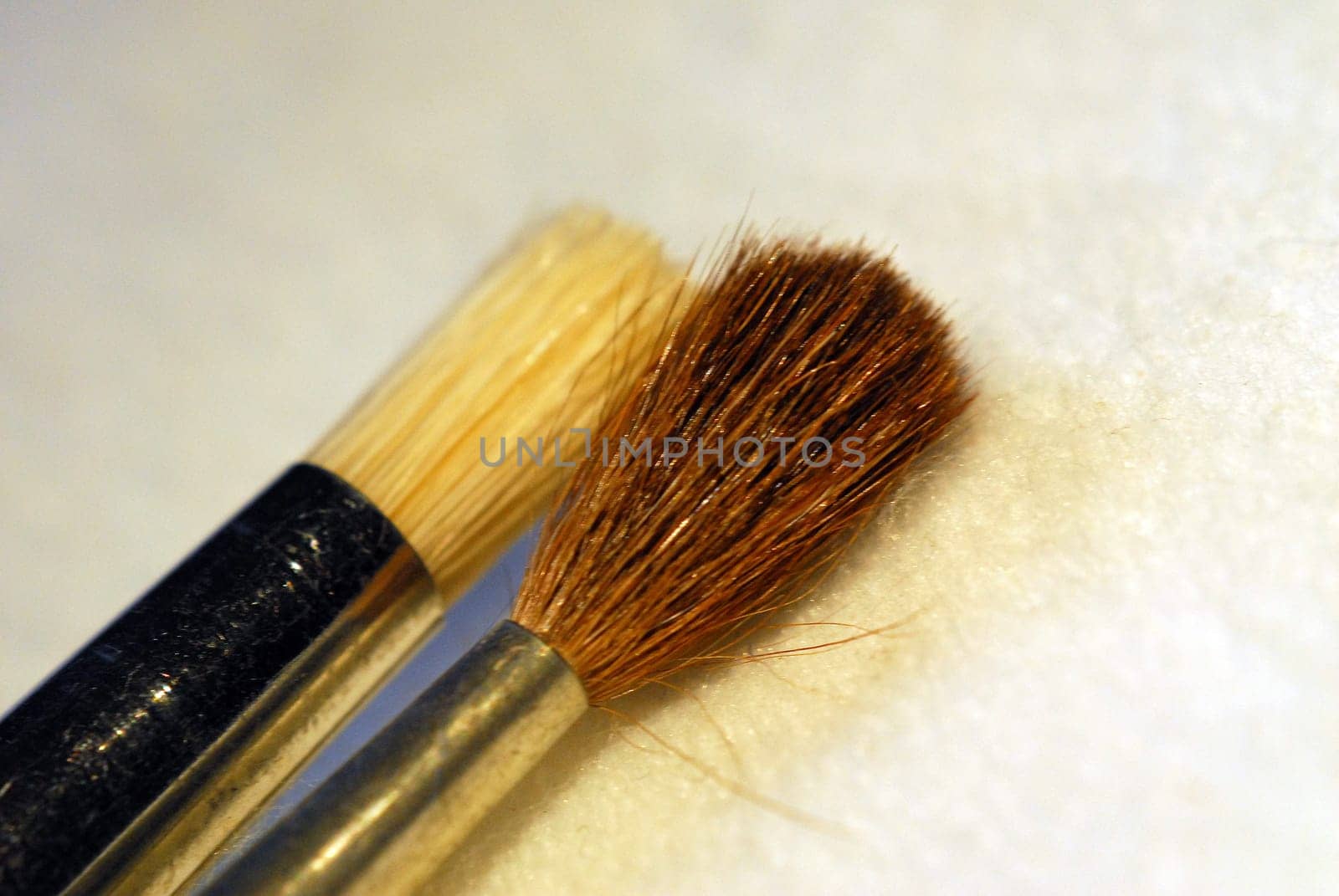 Hair and bristle brush
