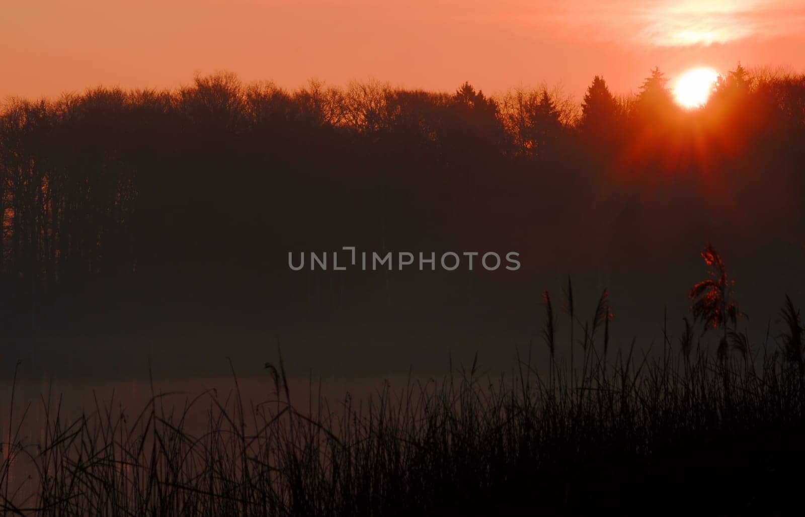 This morning at the lake