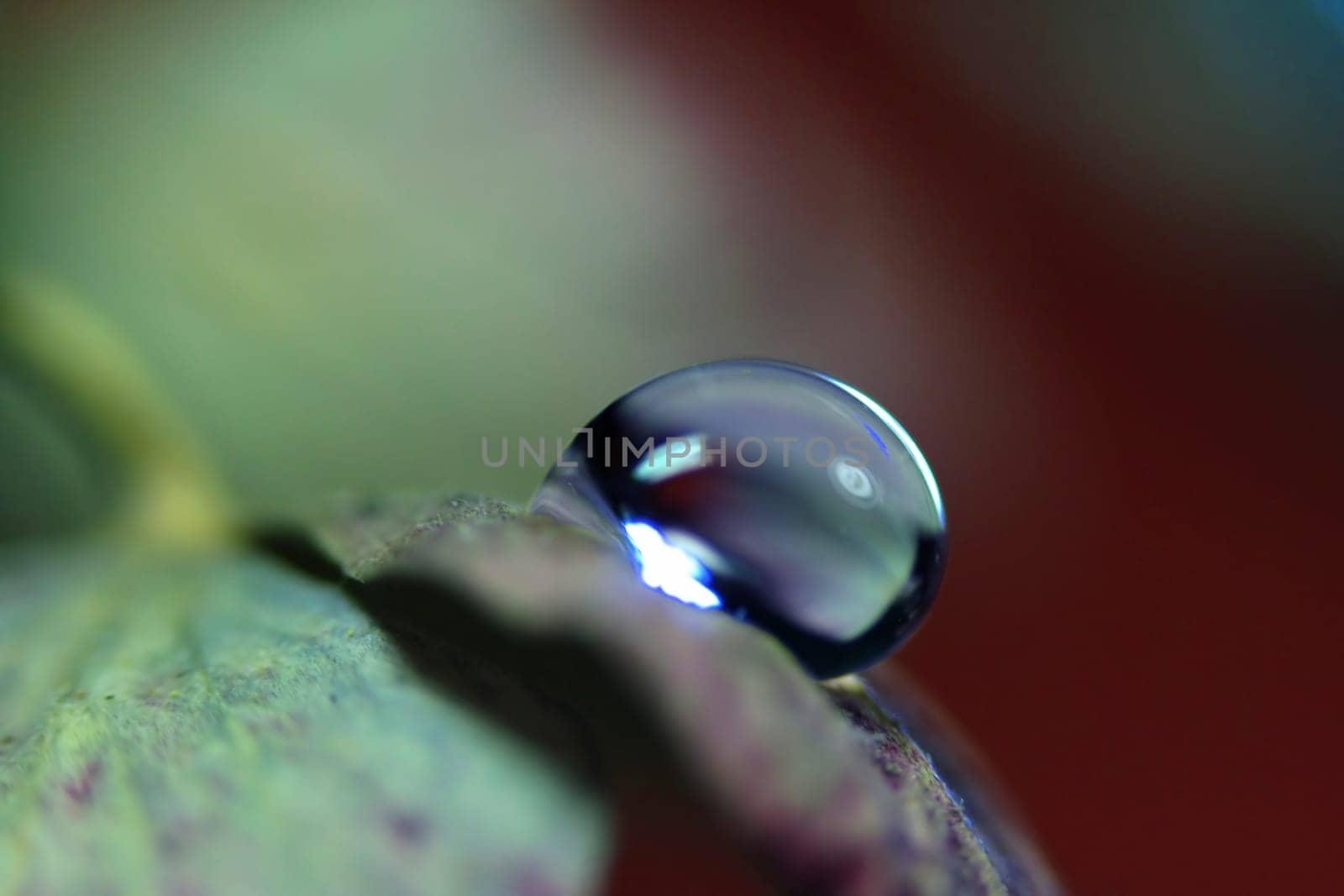 Waterdrop
