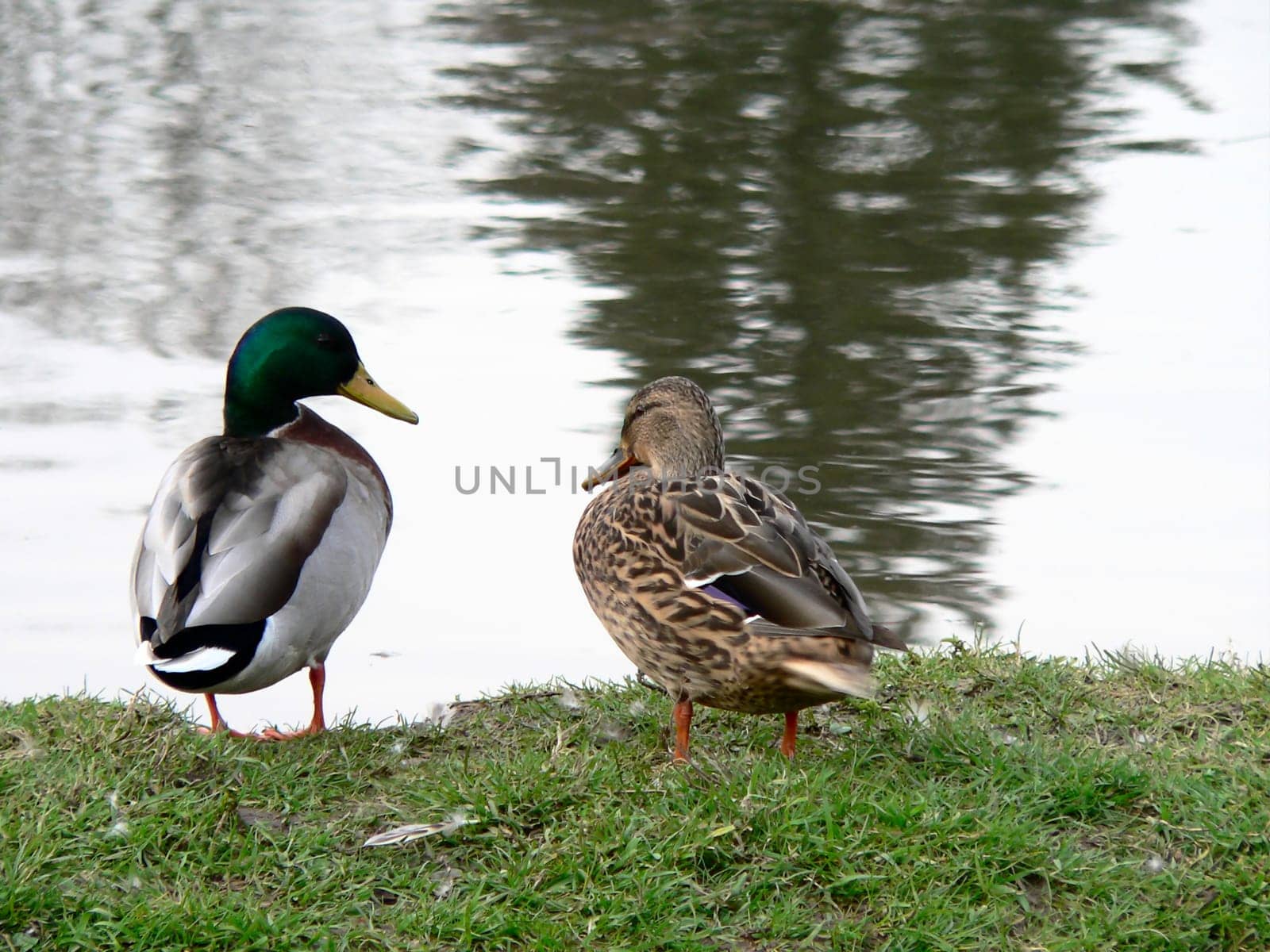 you and me