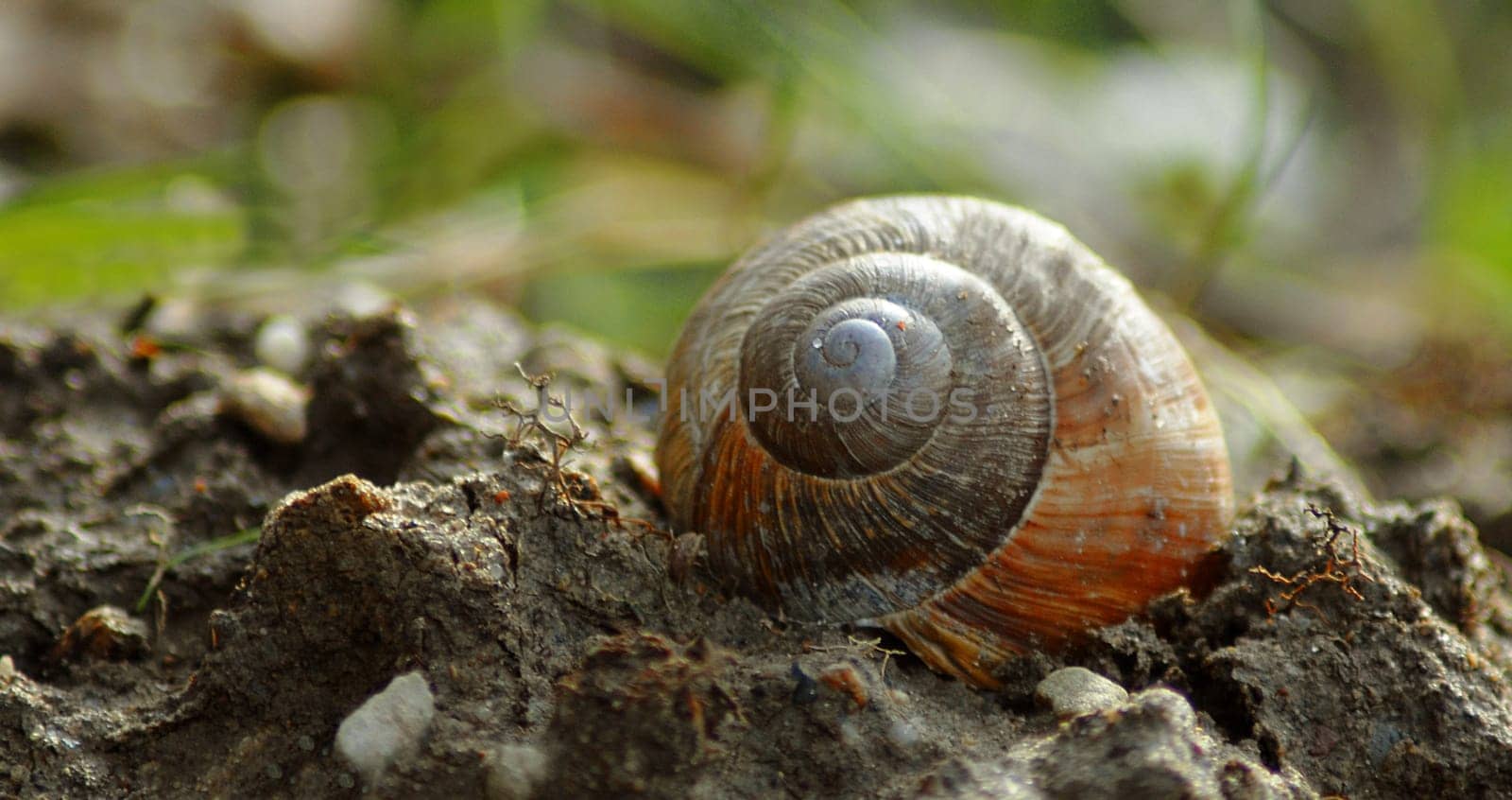 Sometimes it should be worthwhile to make your way unperturbed and slow in today's fast and hectic times.......!:-)