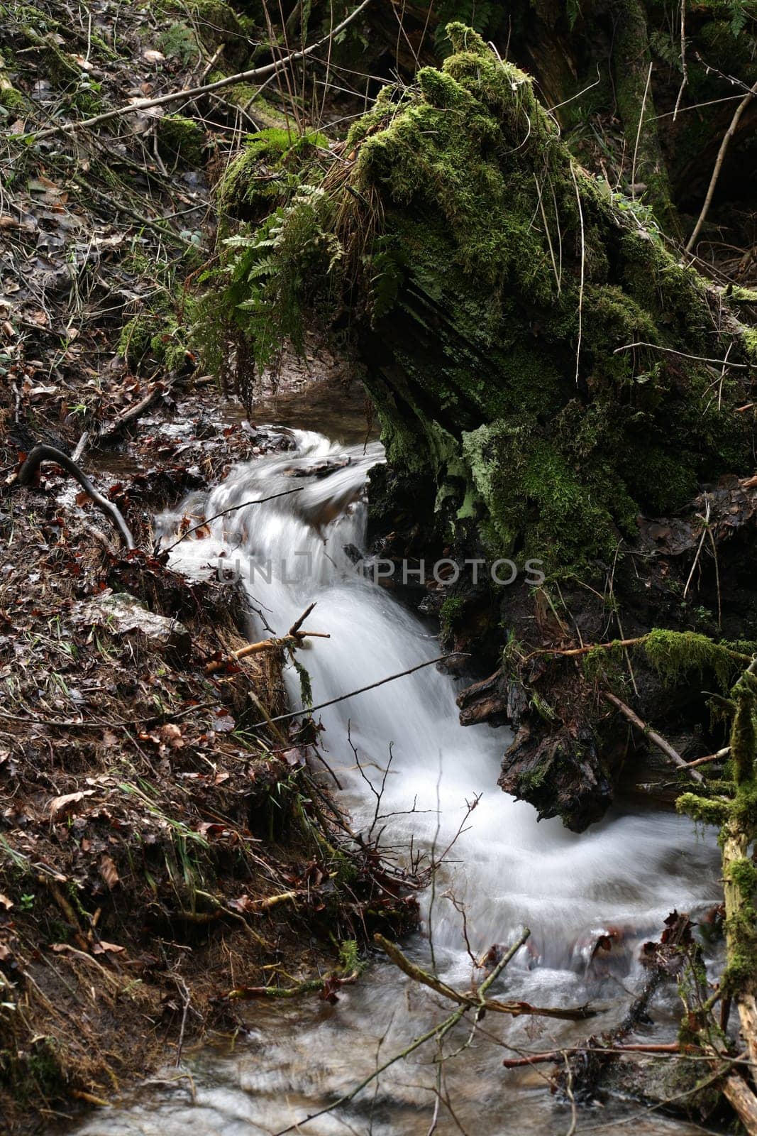 Idyllic,natural watercourse