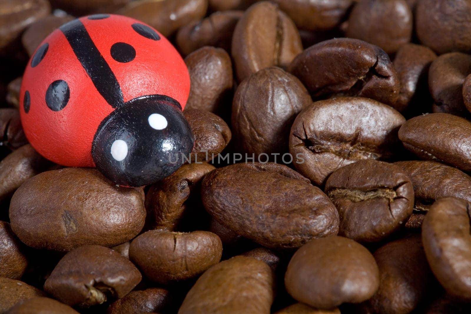 Background coffee beans with lucky beetle