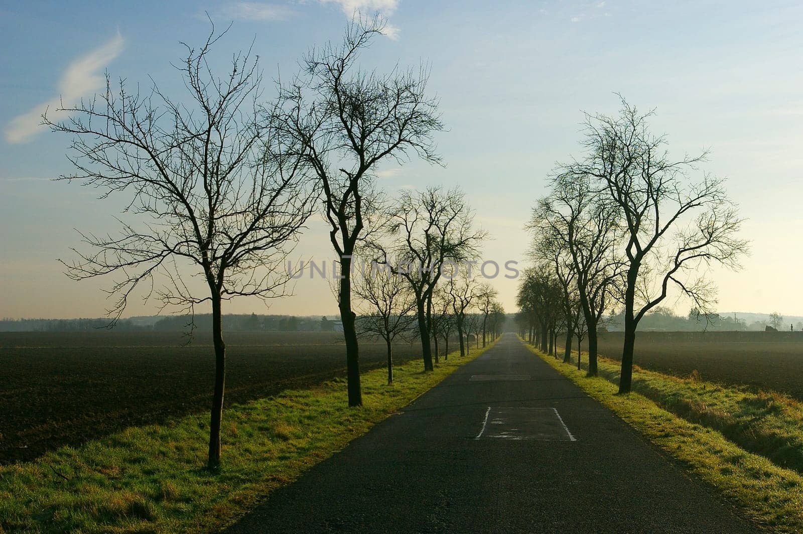 Allee near Müggenhausen