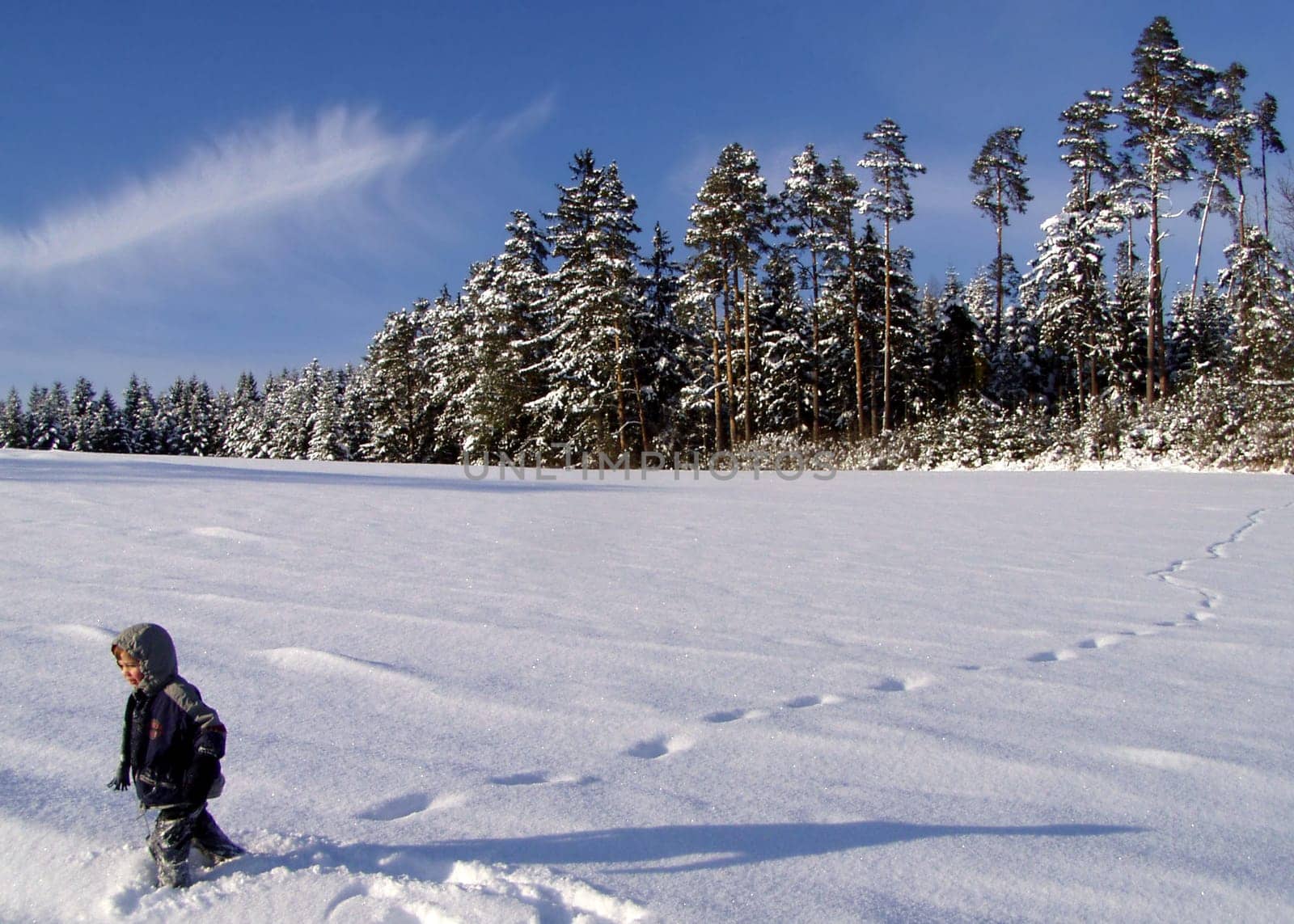 Child in winter landscape