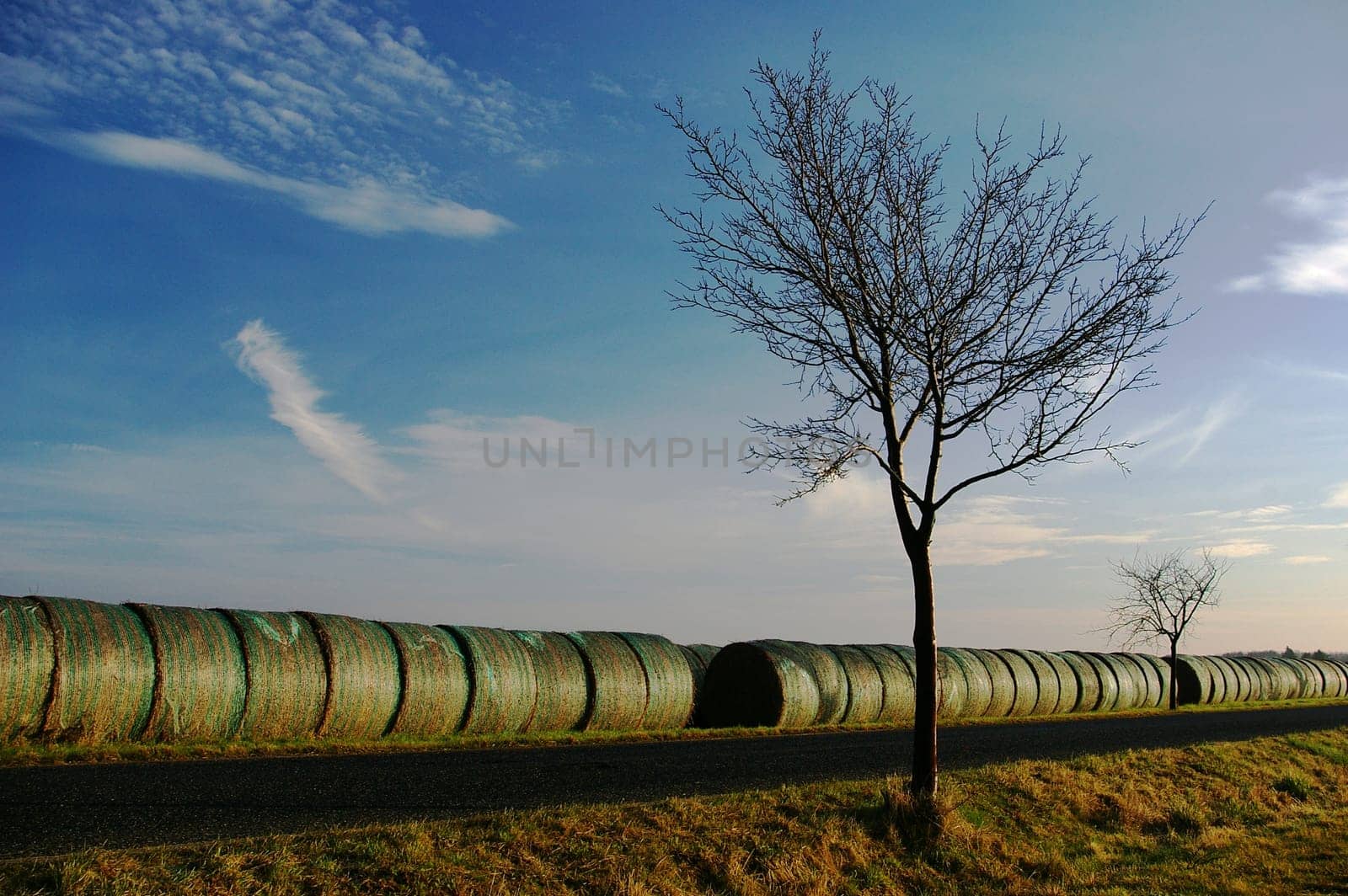 Strung