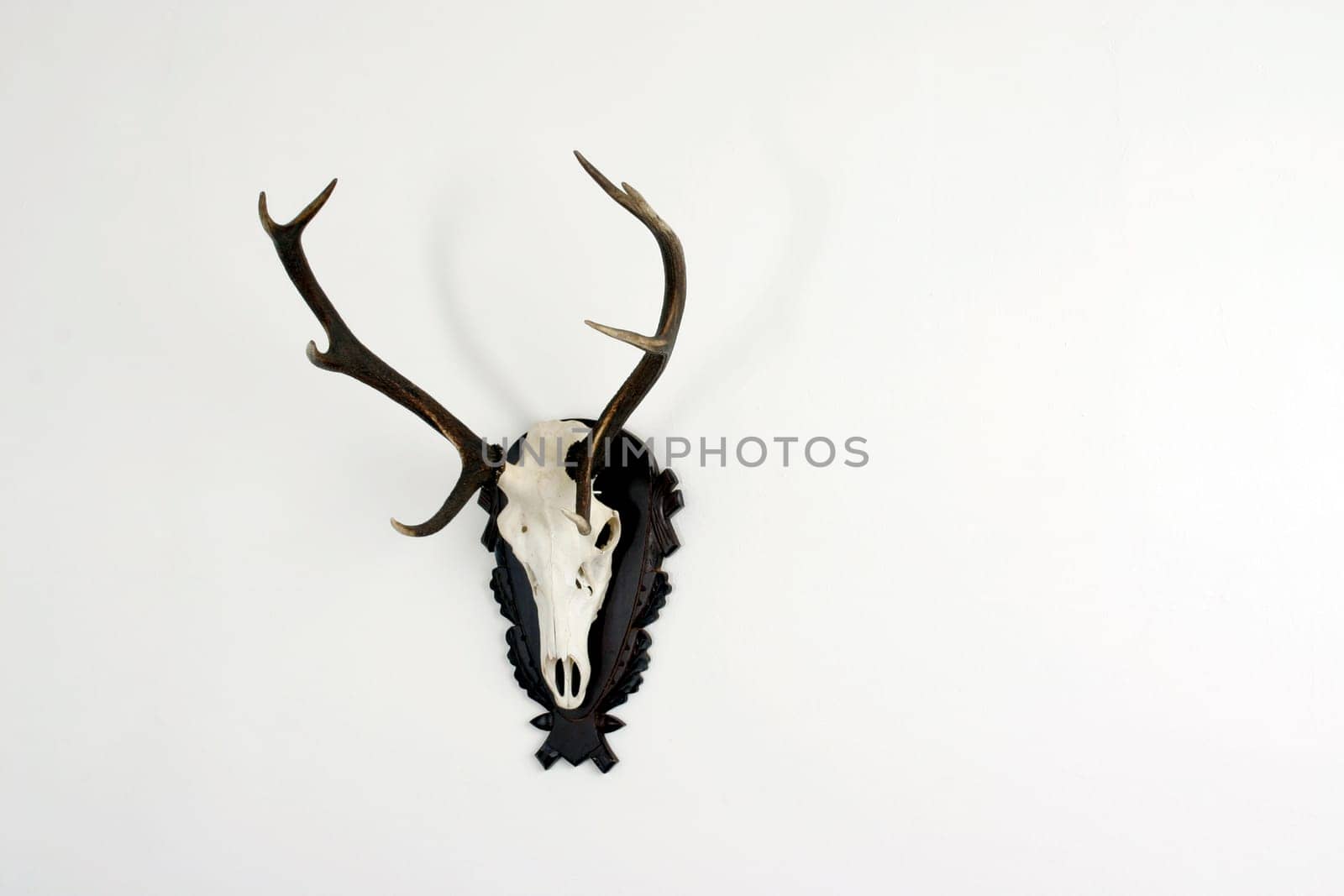 Trophy