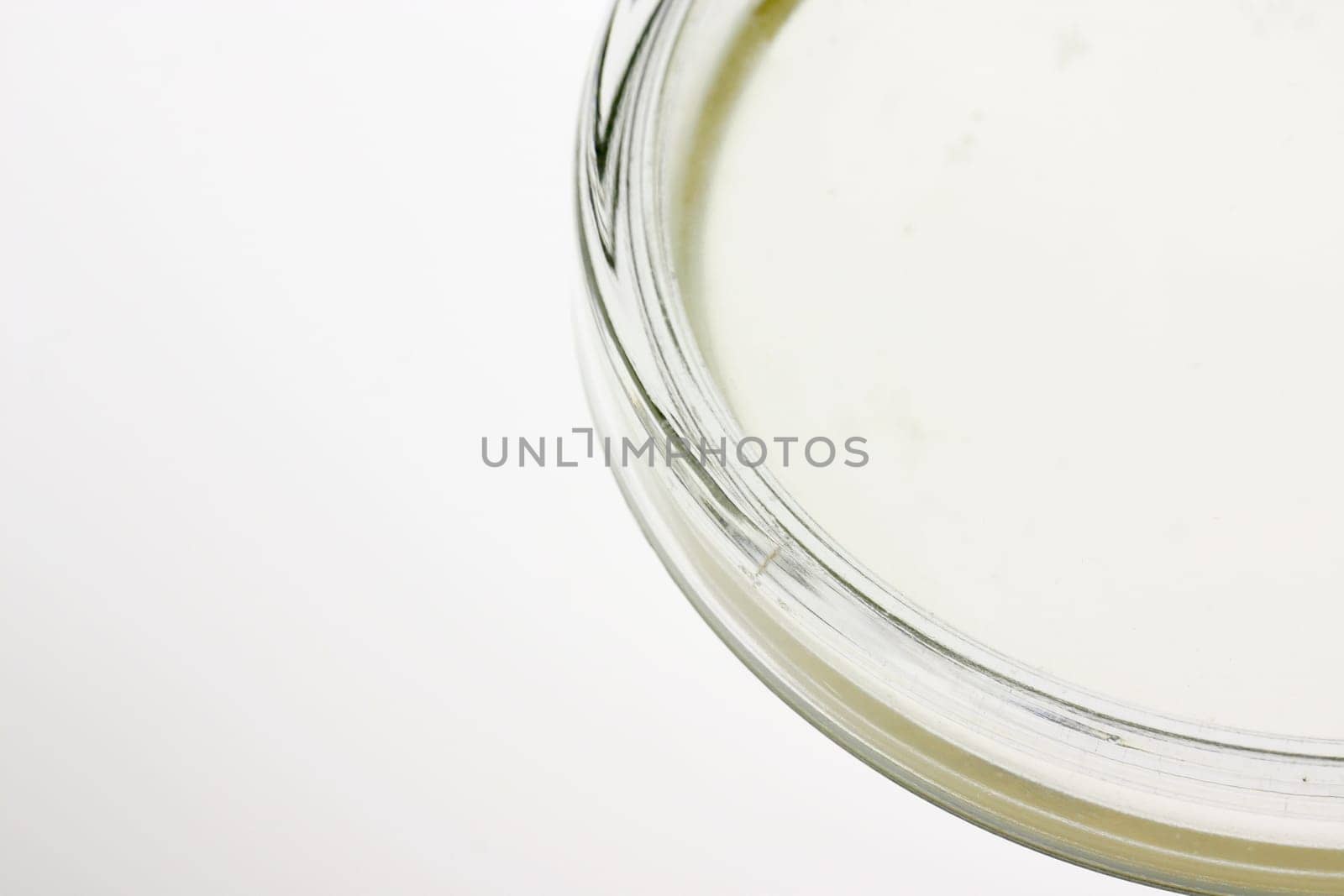 Petri dish