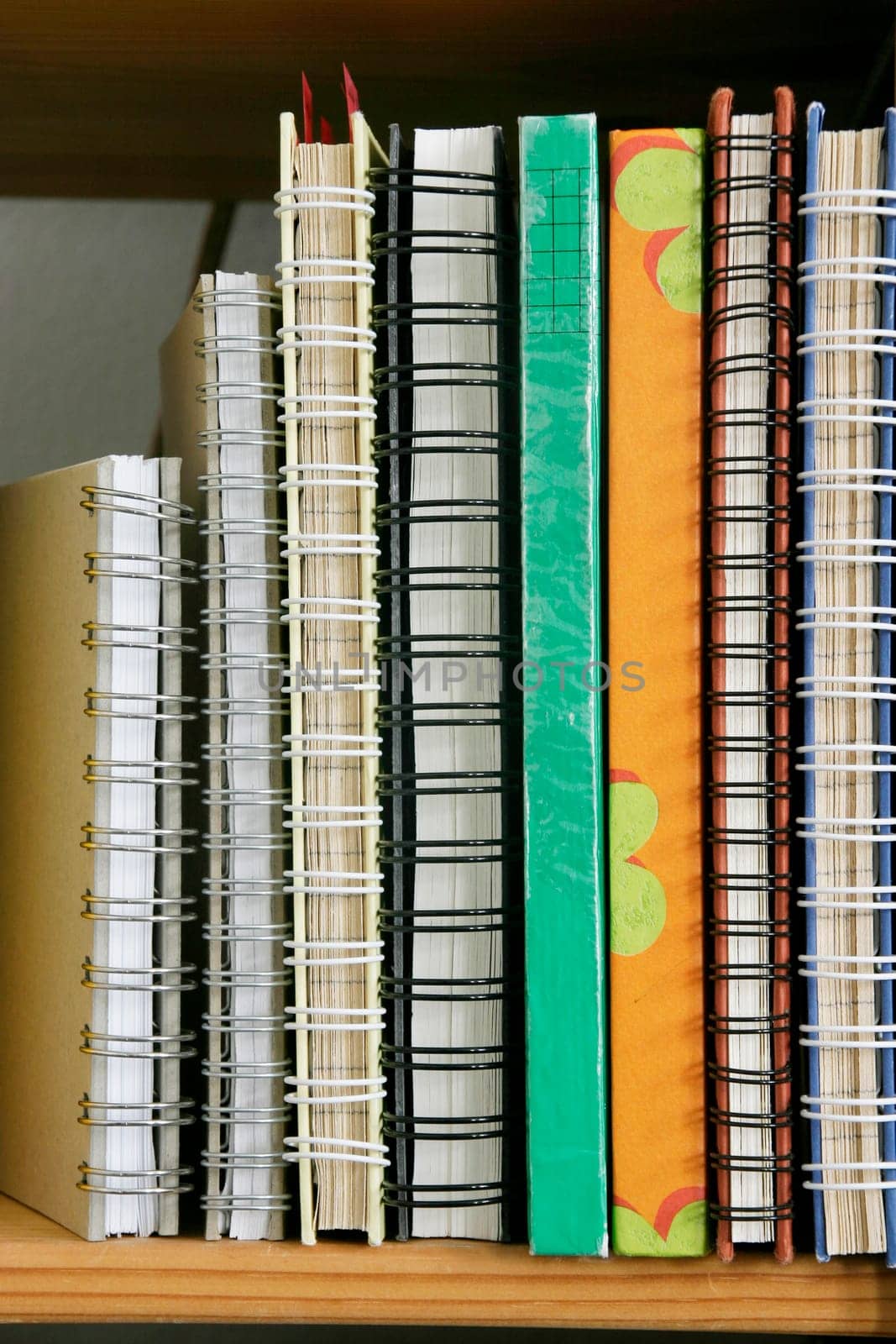 Spine