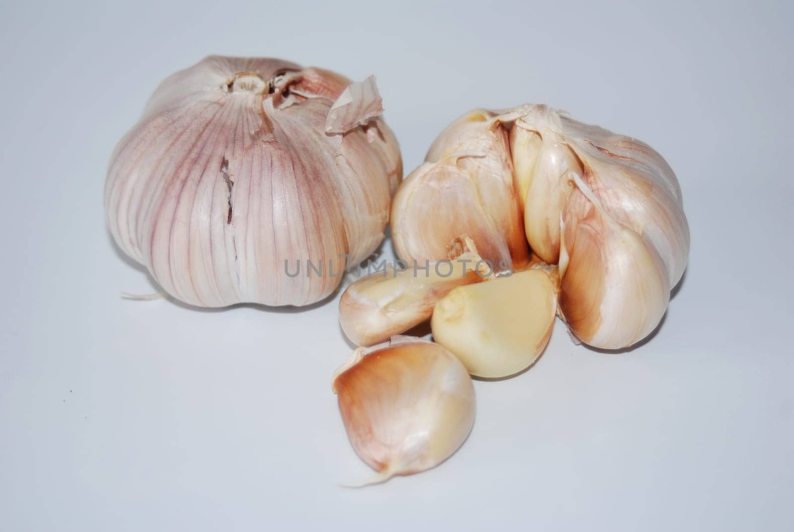 Garlic