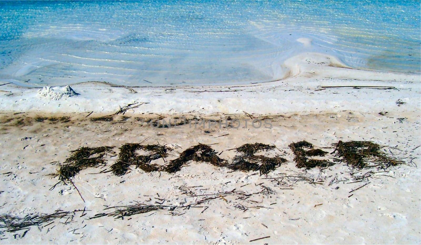 Fraser