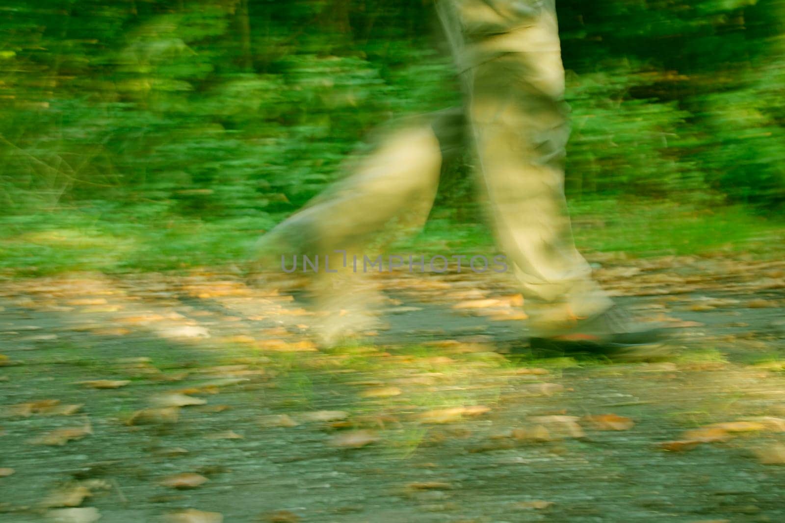 Forest path,legs