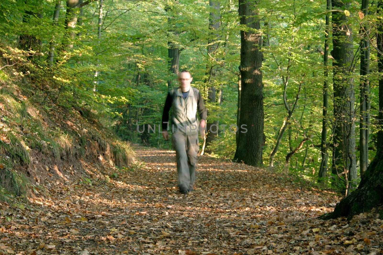 Hikers,forest path