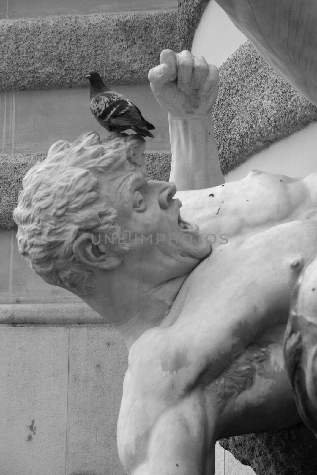 Statue,Dove