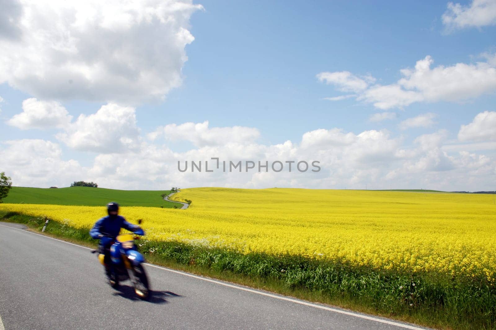 Road,Motorcyclists,Rapeseed field