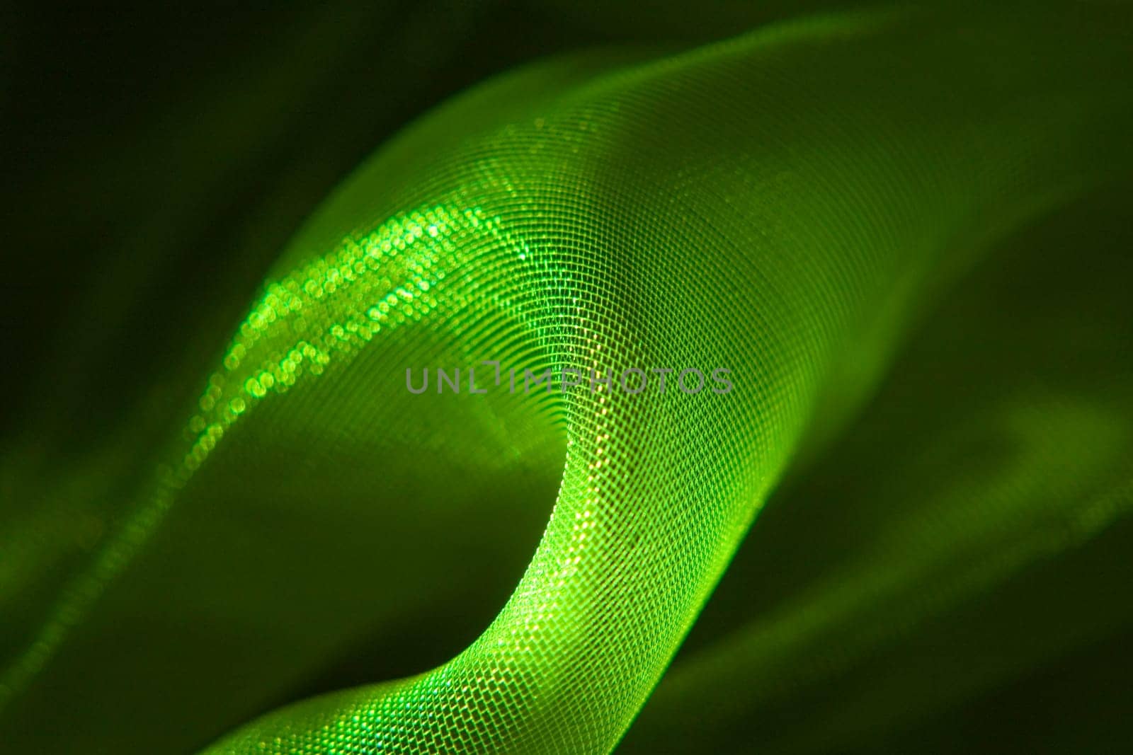 Cloth