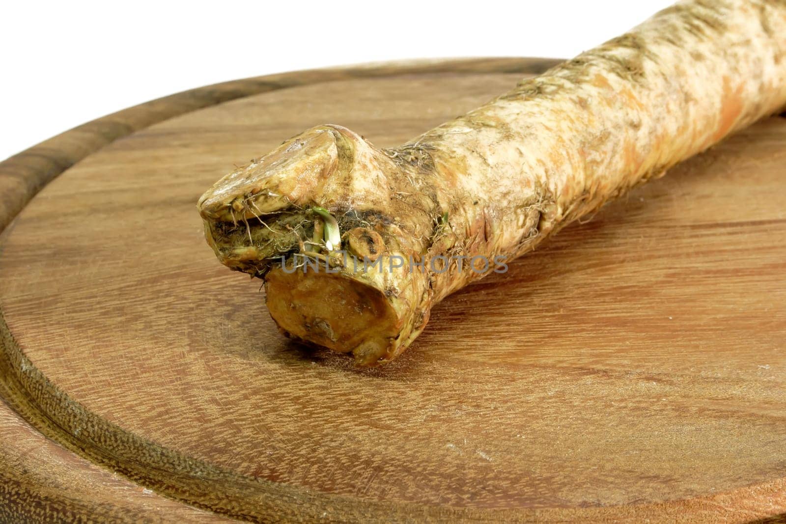Horseradish