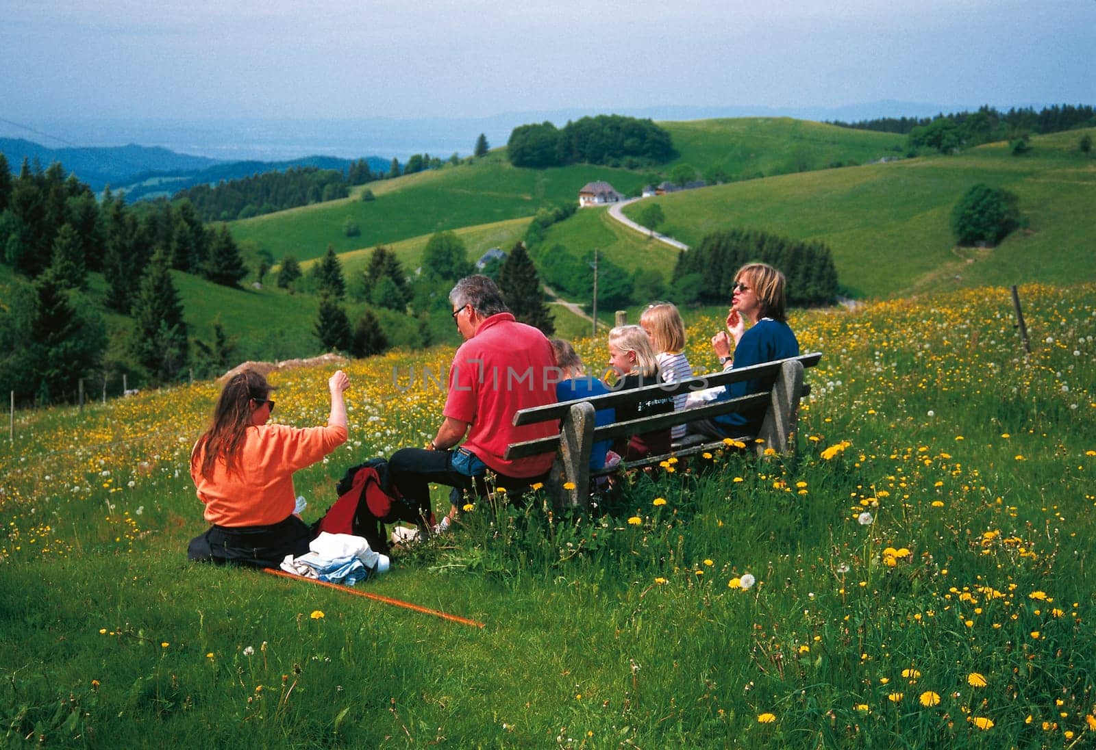 Picnic