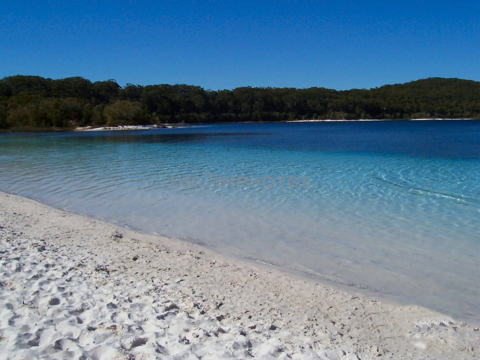 Lake MC Kenzie