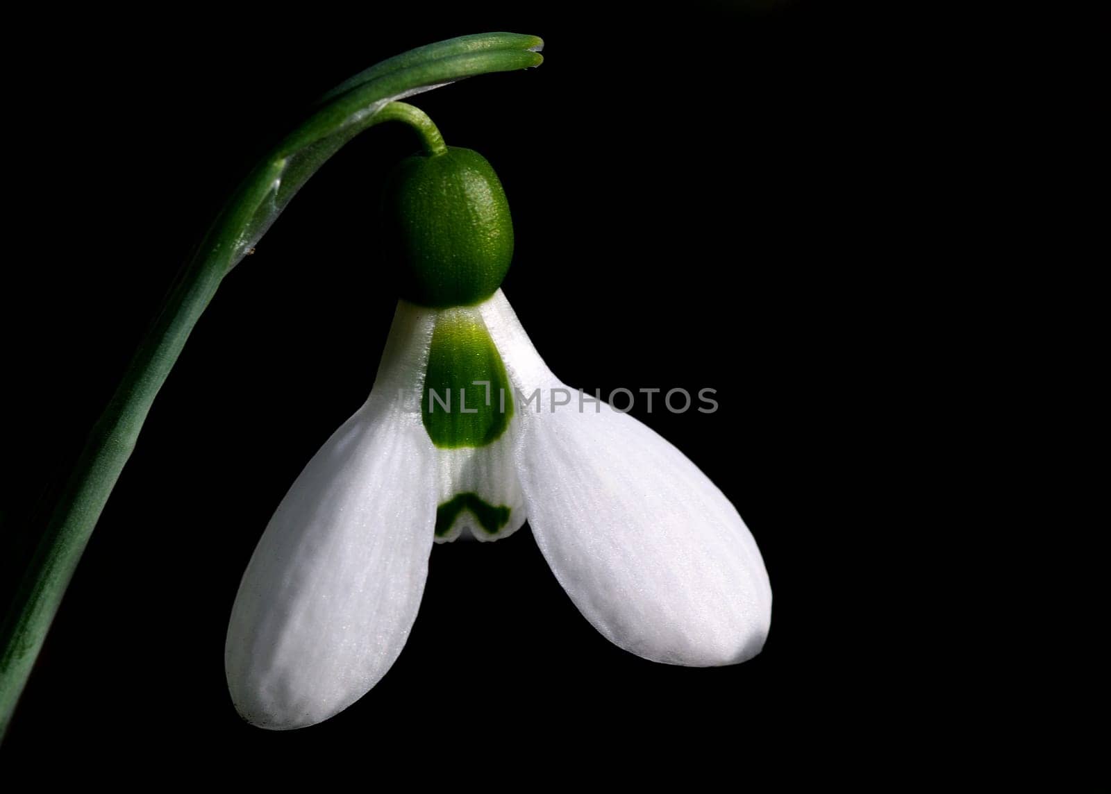 from tomorrow the "winter"" is over - freu"