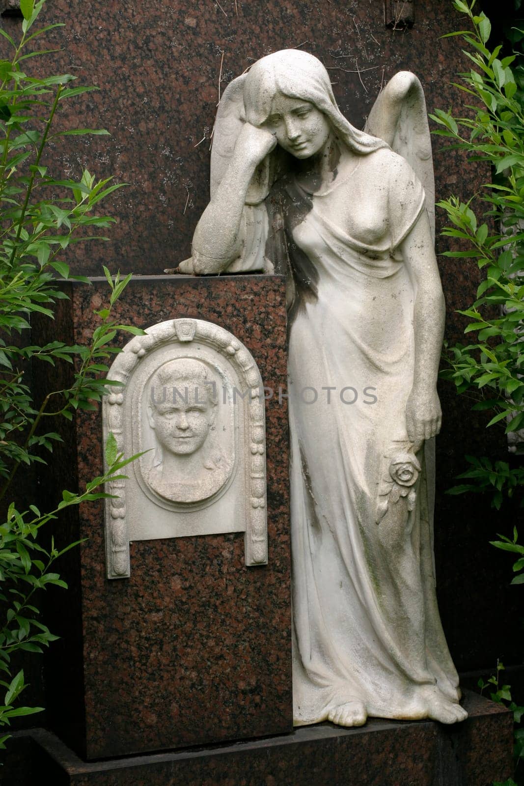 Angel statue