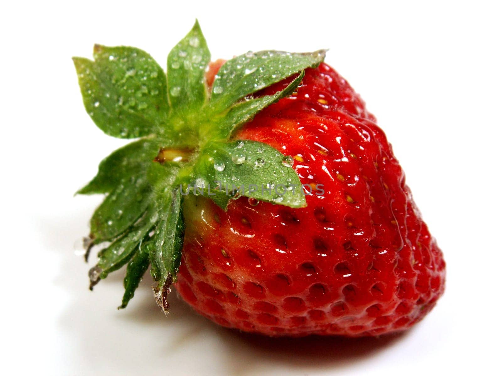 Dewy