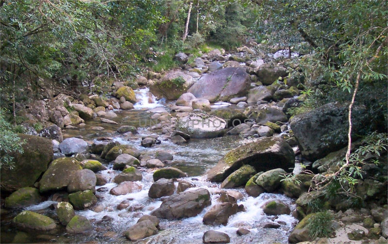 Mossmont
