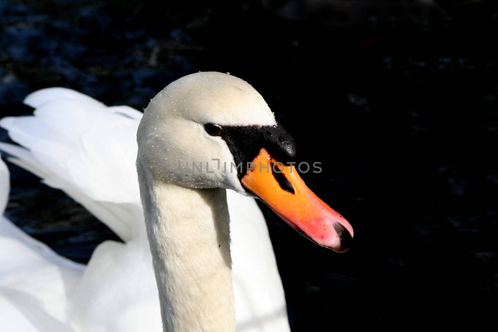 Beauty of nature