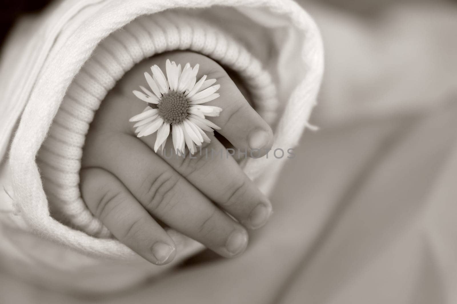 Little Fingers