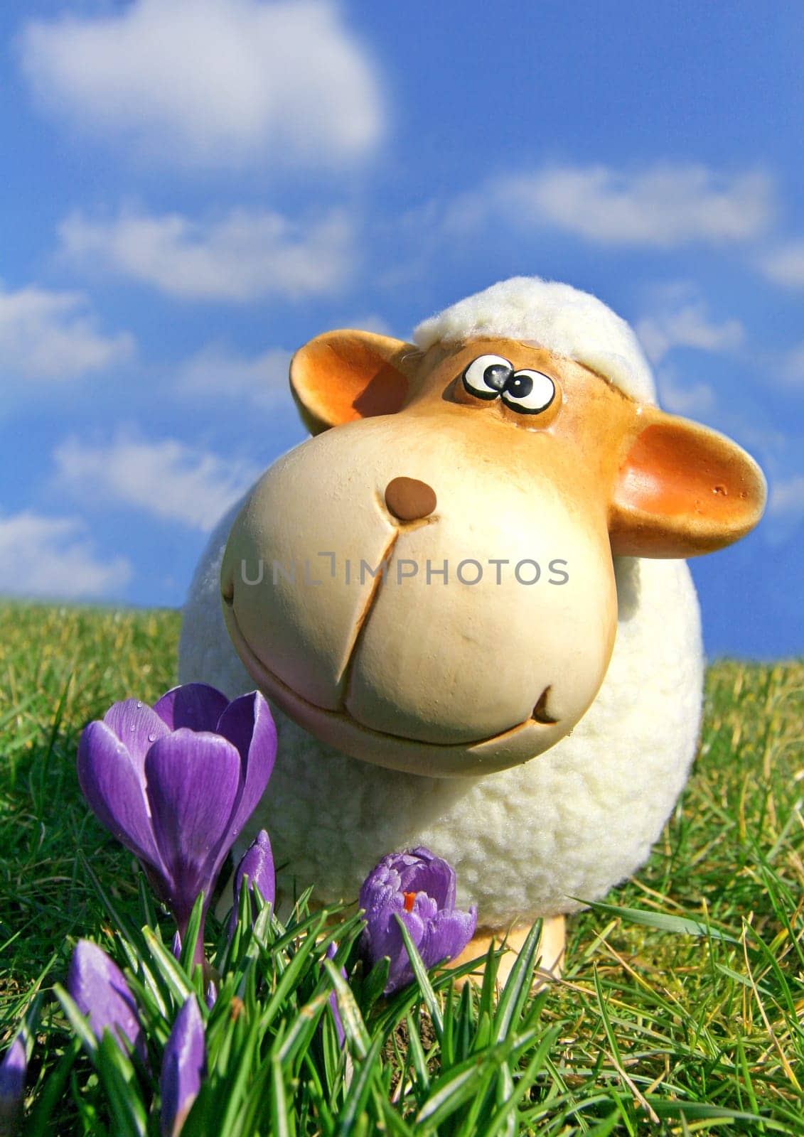 Lamb