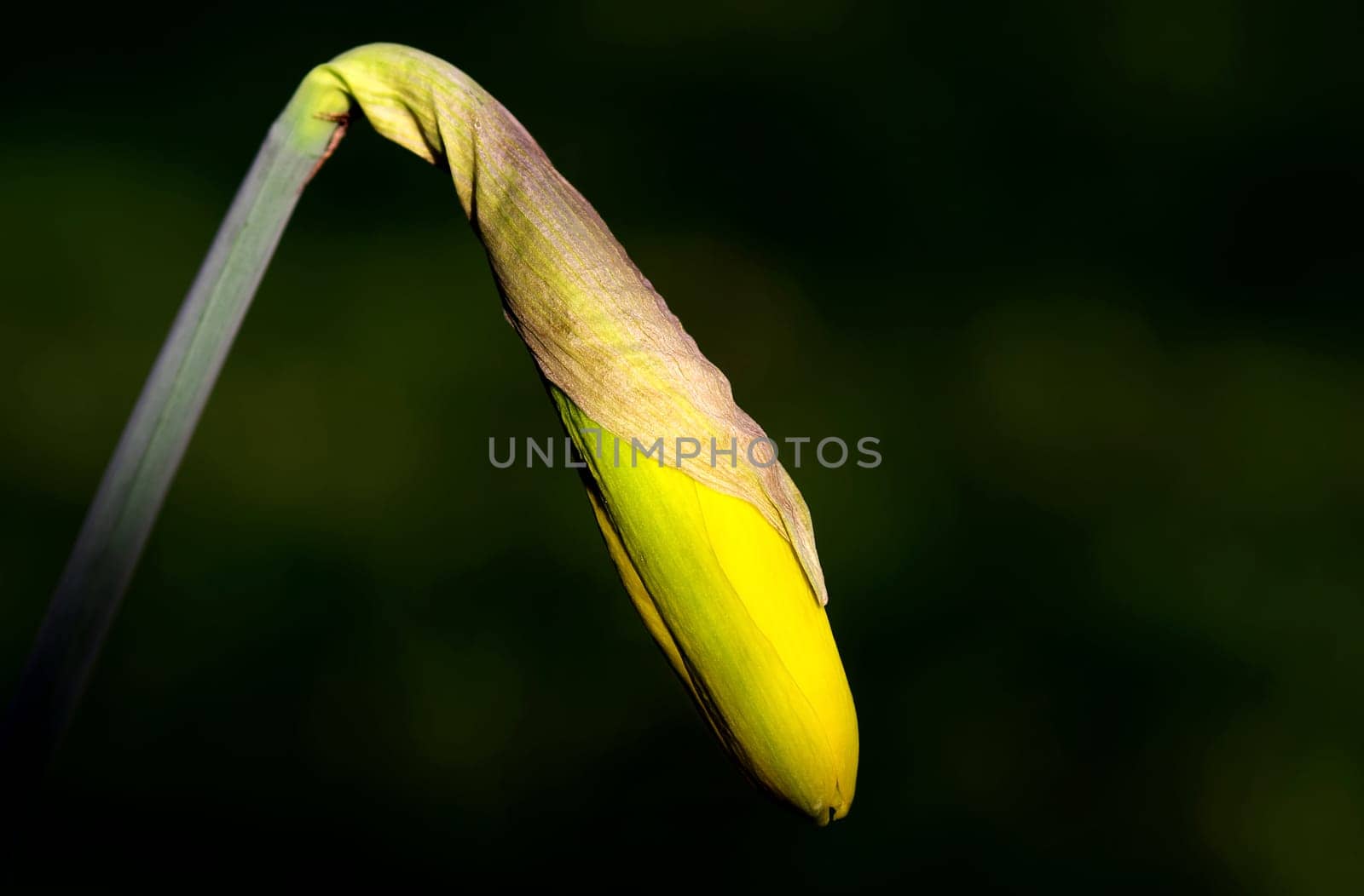 Almost unfolded