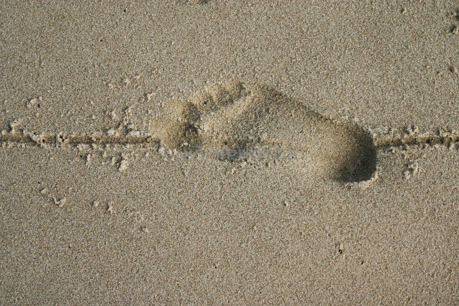 Footprint in the sand