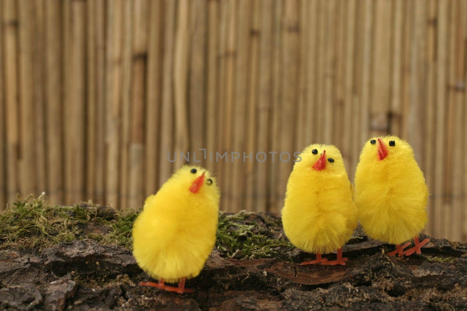 Decorative chicks