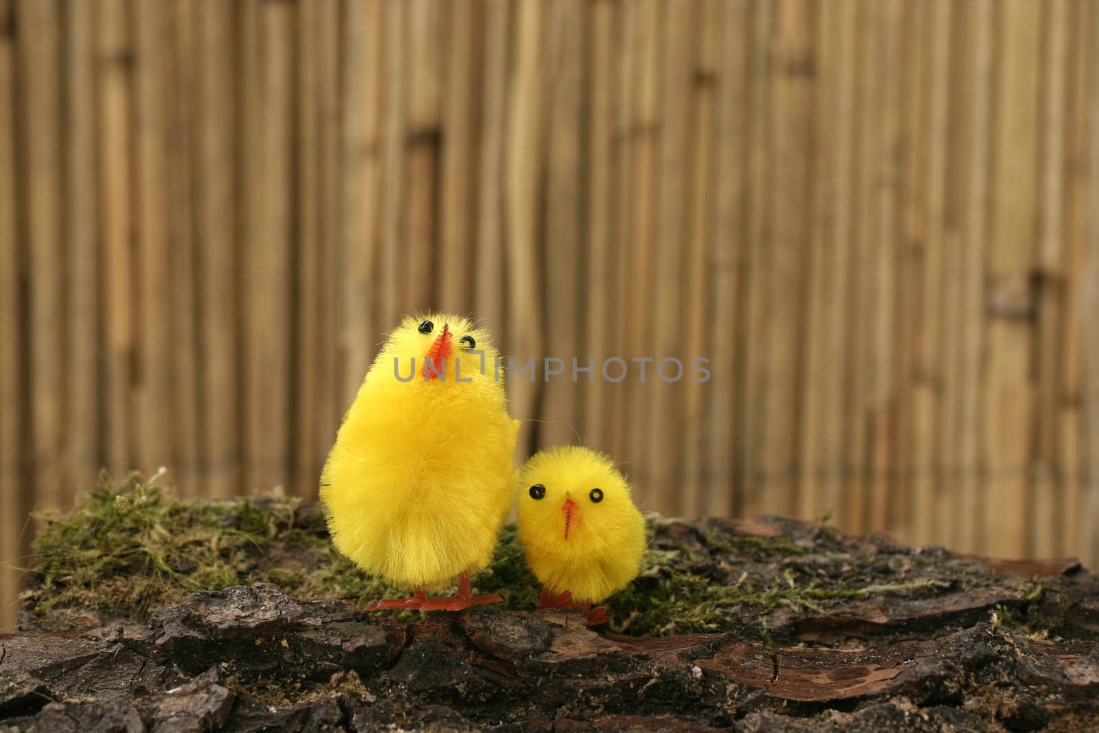 Decorative chicks