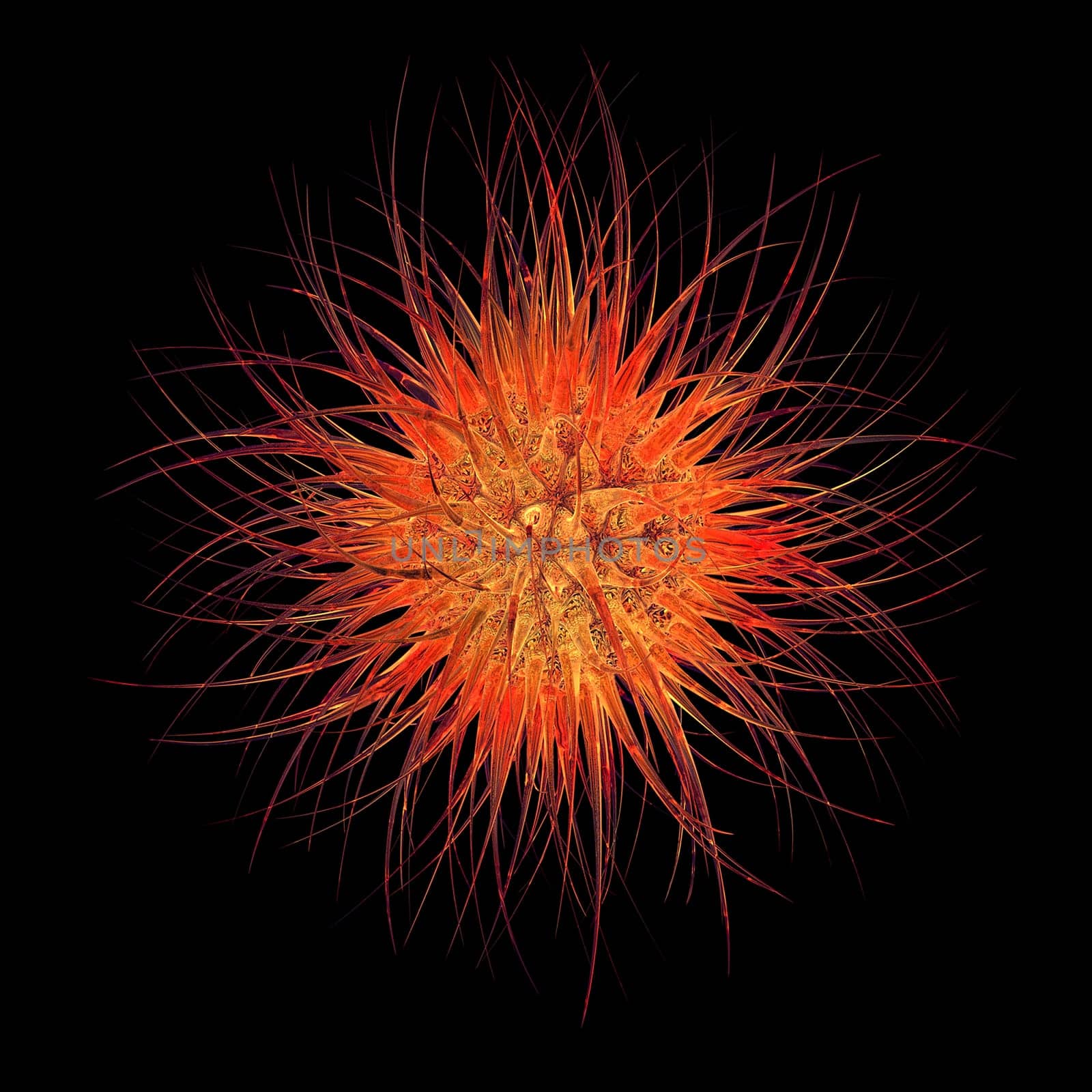 Bacterium