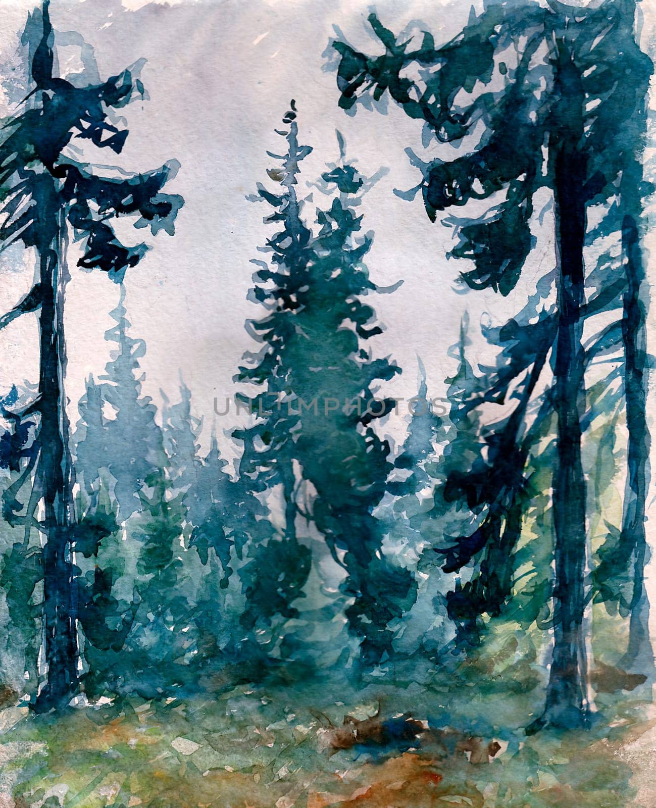 Fir forest