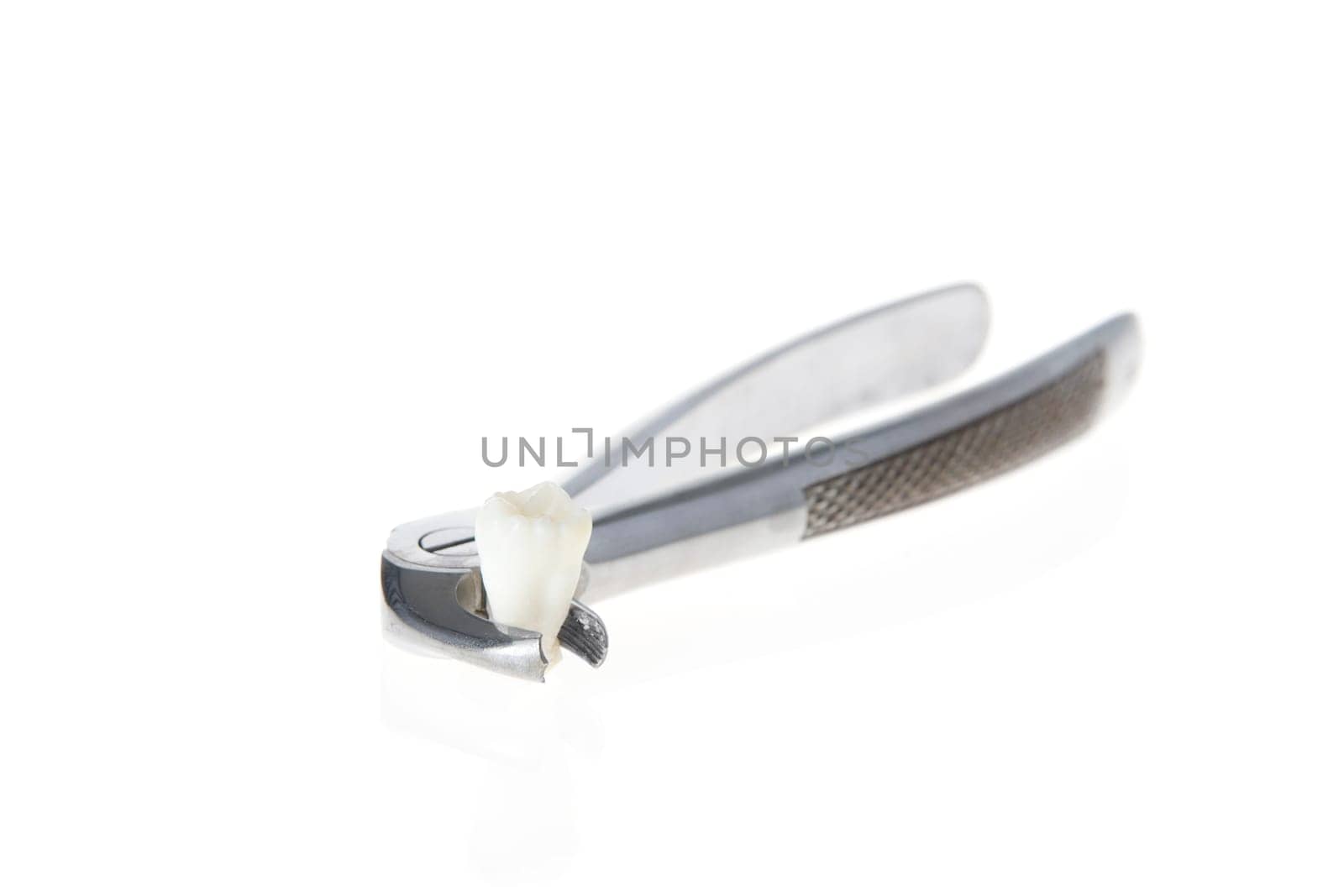 Tooth in forceps