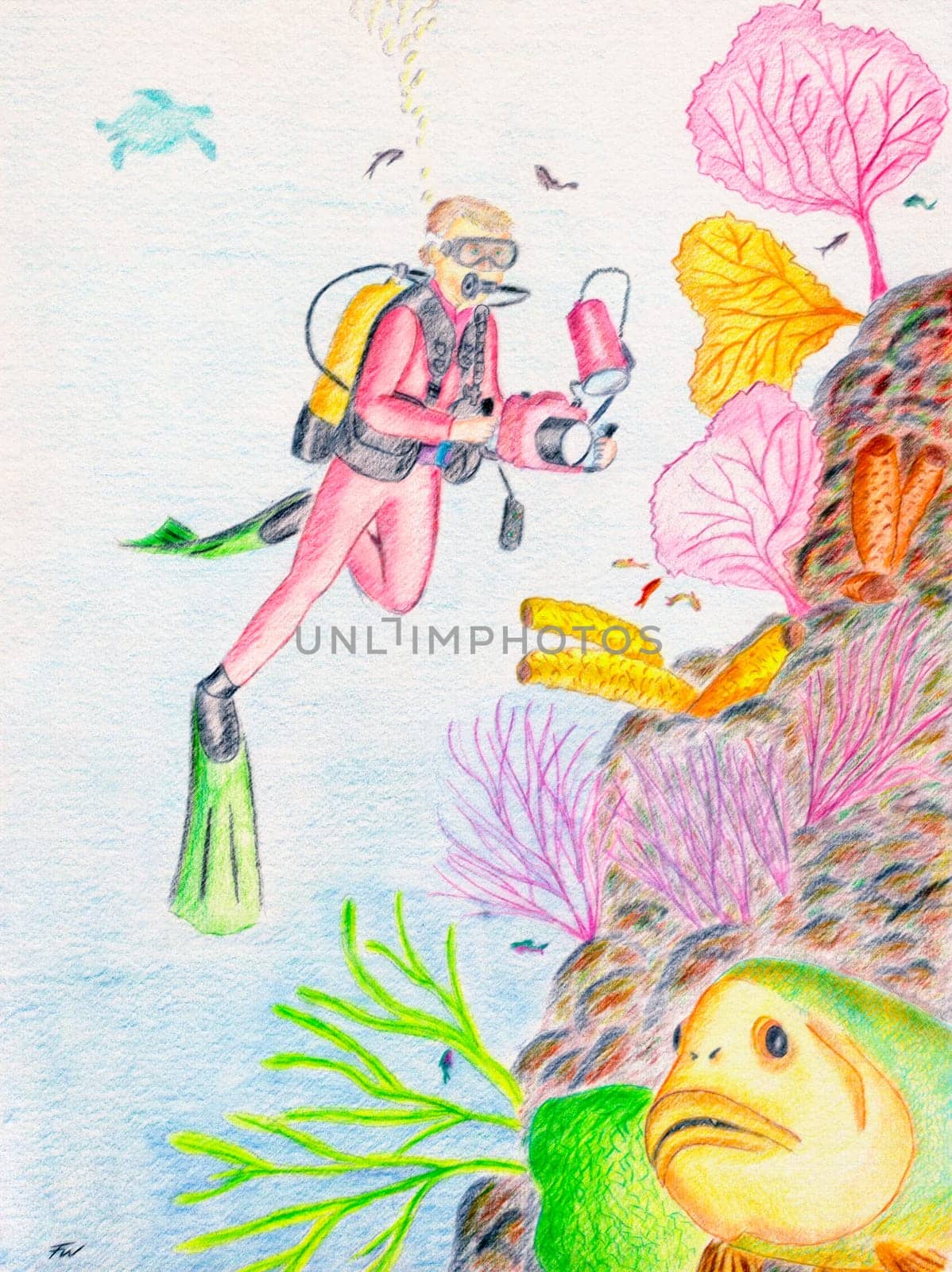 Divers on the coral reef