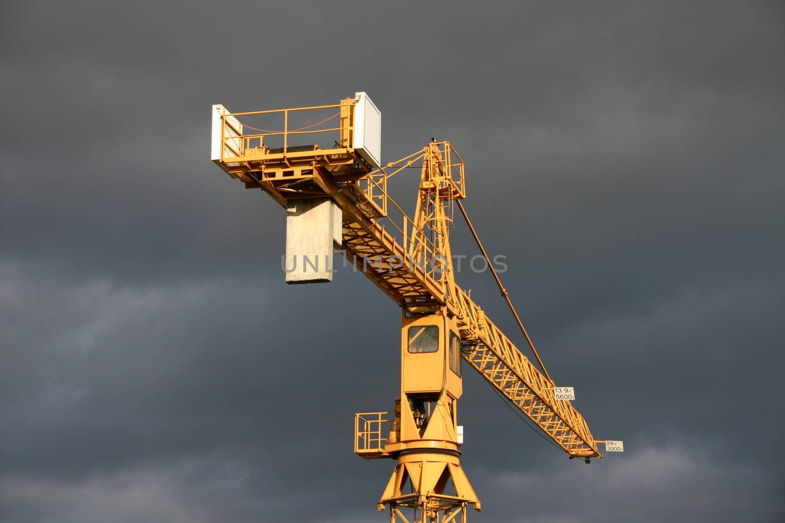 Crane