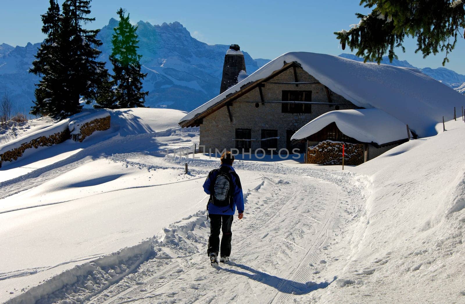 Winter walk