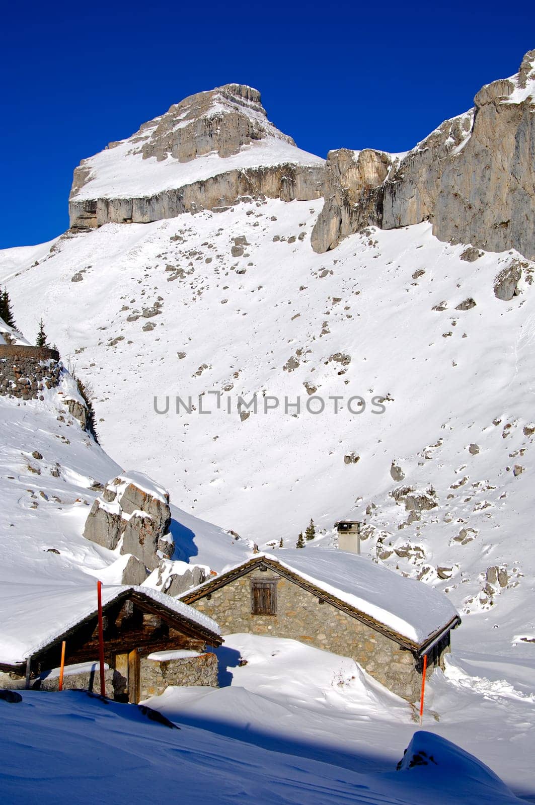 Alpine winter