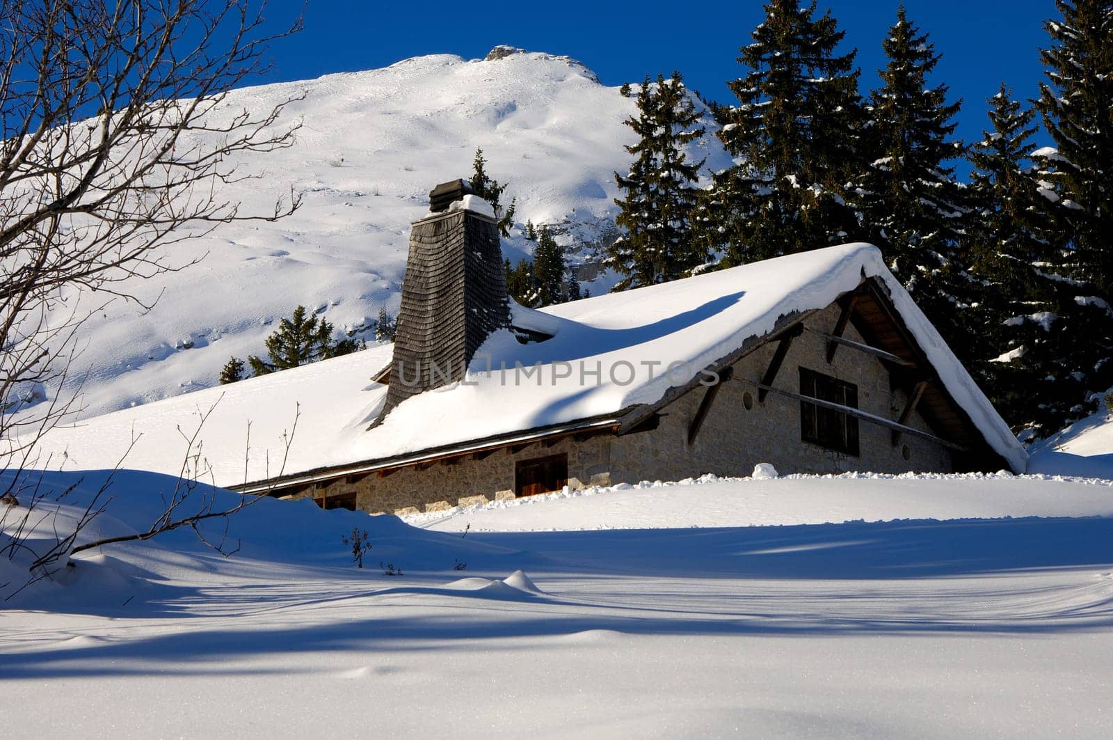 Snowy sheep farm
