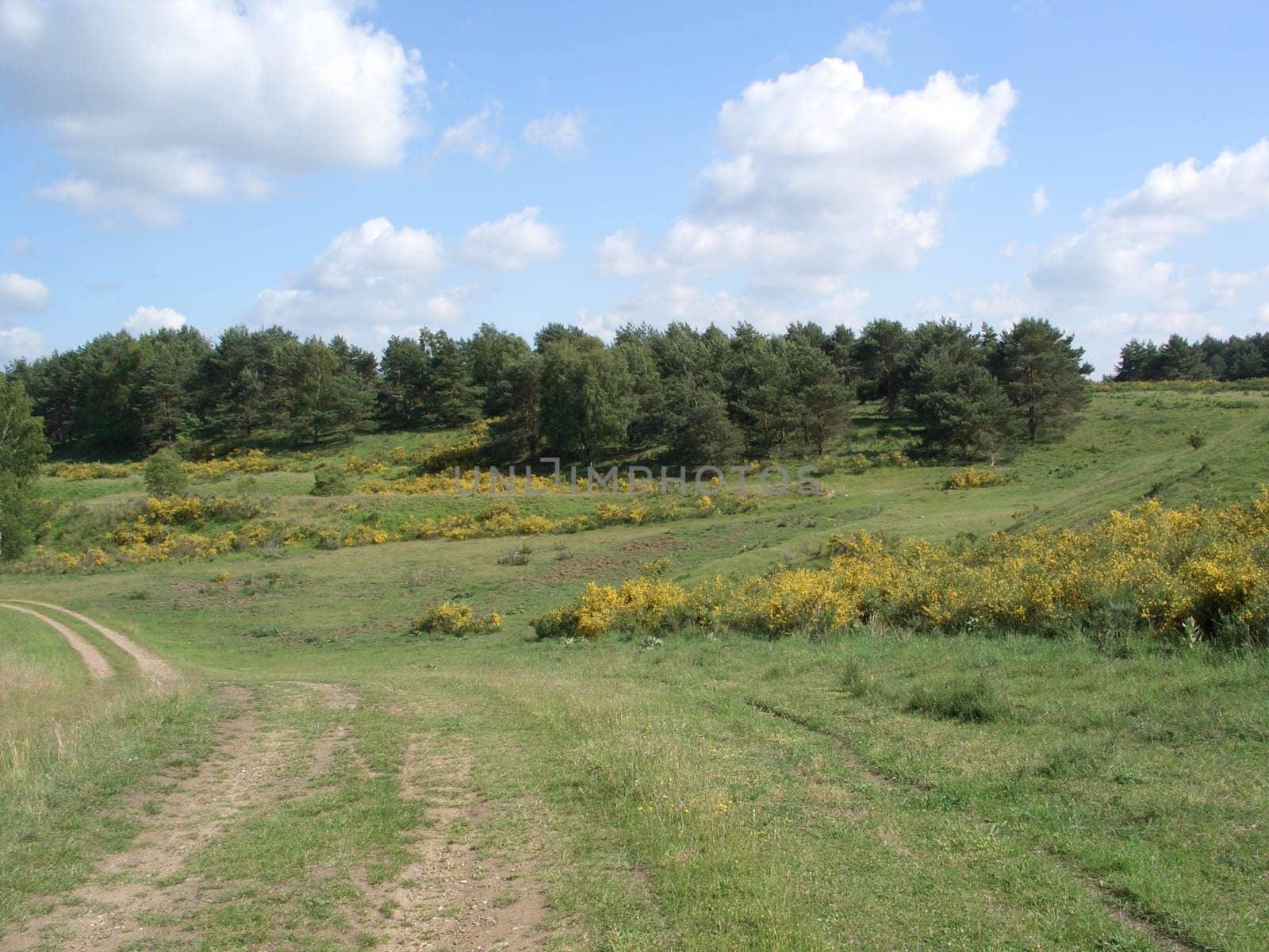 Nature reserve