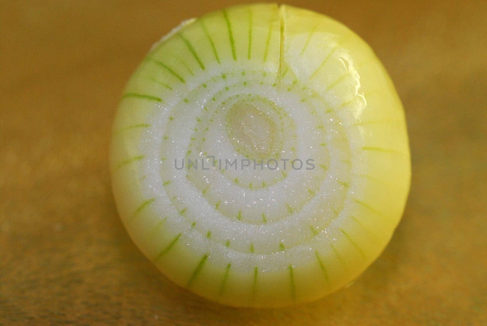 Onion